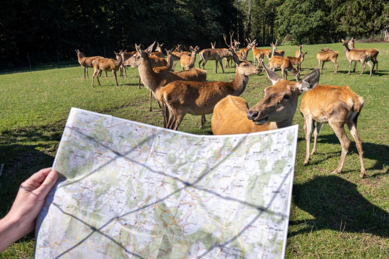 Berggasthof Hoechsten Illmensee Bagian luar foto